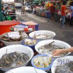 新鮮な海産物も豊富に揃うバンケー市場